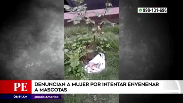 Vecinos denuncian que mujer deja comida para envenenar mascotas en Los Olivos