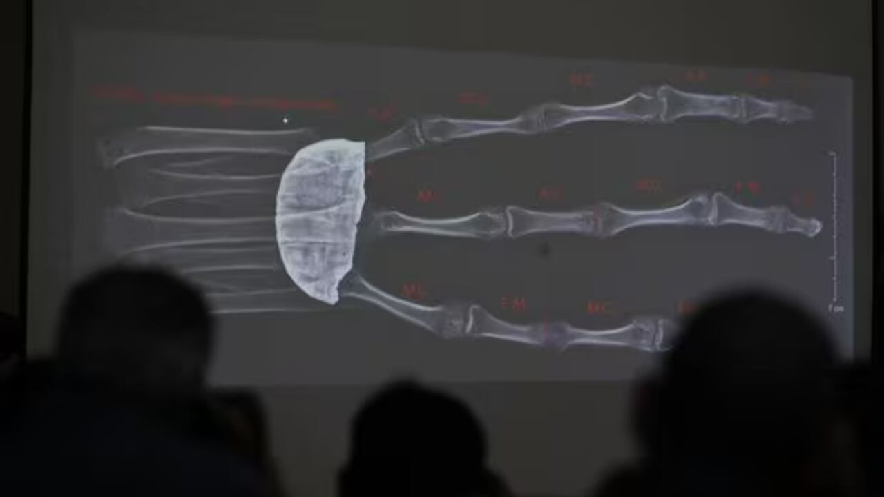 Falsa mano alienígena