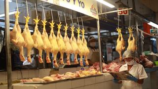 Gripe aviar en Perú: ¿Hay peligro de consumo de huevos, carne de pollo, pavo y pato? Esto dice el Senasa 