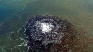 Volcán submarino lanza millones de toneladas de azufre al océano 