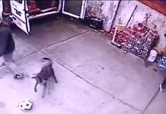 Joven queda en shock al ver la jugada magistral que su mascota hizo con el balón