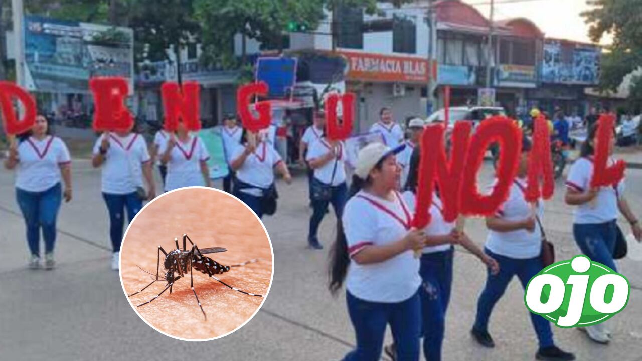Declaran cada 26 de agosto como el 'Día contra el dengue' en Madre de Dios.