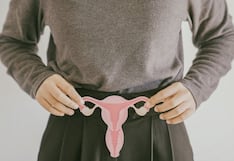 Calculadora de ovulación: la herramienta esencial para aumentar las probabilidades de concepción