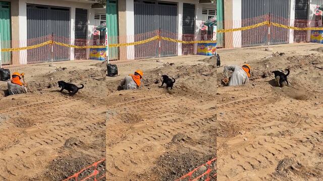 Obrero peruano recibe el apoyo de su perro en un trabajo de excavación: “Tiene que tener su sueldo”