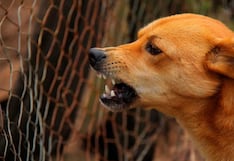 Rabia humana: Ministro de Salud descarta caso sospechoso en Lima