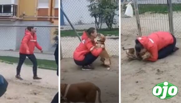Ojo - Se reencuentra con su perrito luego de cinco años