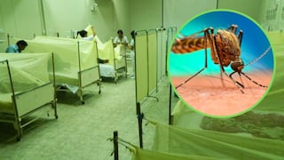 Ministerio de Salud confirma aparición de nueva variante del dengue 
