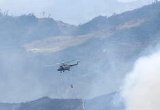 Incendios forestales consumen flora y fauna en medio Perú