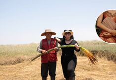 La fibra de palmera del aguaje como insumo principal para accesorios de moda