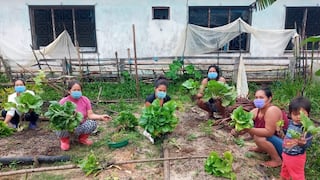 Madres loretanas siembran alimentos en biohuertos mejorados para acabar con la anemia