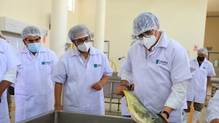 Miles se beneficiarán con nuevo desembarcadero pesquero en Arequipa
