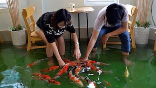 ​Cafetería donde peces nadan entre las mesas es sensación en Vietnam (VIDEO)