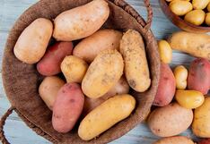 Día del campesino: tubérculos, el legado nutricional de los agricultores