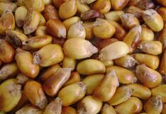 Comer para vivir: Valores nutricionales de la cancha