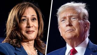 “Nostradamus” ya tiene al ganador de las elecciones presidenciales de Estados Unidos