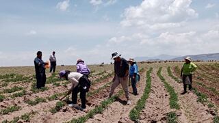 La columna del Tío Billegas: ¡Guarda con las sequías!