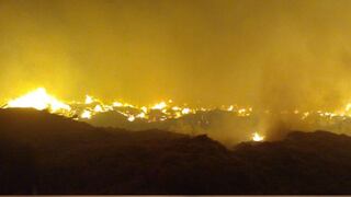 Ancón: reportan un incendio forestal a la altura del Km 42 de la Panamericana Norte