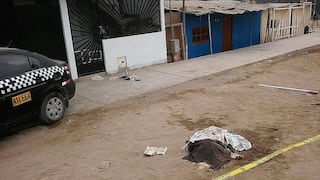Villa El Salvador: Matan seis perros para desmantelar auto [VIDEO]    