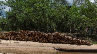 Un estudio de la USAID asegura que el 37% de la madera extraída de los bosques del país es ilegal