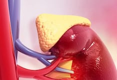 Comer para vivir: Cortisol, la hormona que te activa y protege