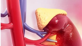 Comer para vivir: Cortisol, la hormona que te activa y protege