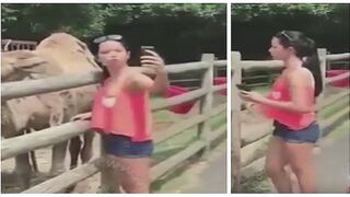 Intenta tomarse un 'selfie' con un camello y se lleva el susto de su vida (VIDEO)