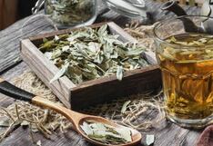 Comer para vivir: Los riesgos de usar hojas de sen para aliviar el estreñimiento