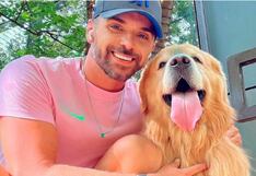 Vuelo equivocado: Error en aeropuerto hizo que perro muriera de sed en Brasil