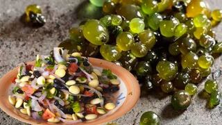 Comer para vivir: Cushuro, el superalimento andino lleno de nutrientes