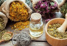 Comer para vivir: Diferencias entre herbolaria y nutrición