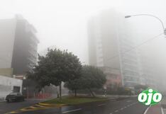 ¿Por qué se percibe un fuerte olor a pescado en Lima y Callao por las mañanas? Aquí te lo contamos