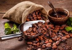 La columna de Pérez Albela: Hojas de cacao, el secreto ancestral sanador