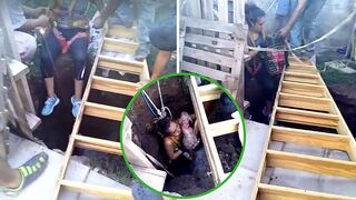 Valiente mujer se mete a un pozo de 12 metros para rescatar a 2 perritos (VIDEO)