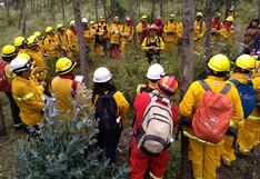 Bomberos festejan presencia de lluvias en regiones afectadas por incendios forestales