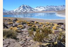 Columna Javier por el mundo: Al pie del volcán Licancabur