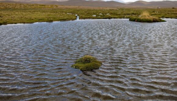 Conservación de la Reserva Nacional Salinas y Aguada Blanca garantizará el suministro de agua para toda la población de Arequipa.