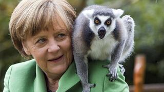 Canciller alemana Ángela Merkel se parece a un lémur, según políticos