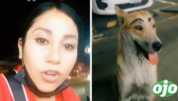 Ojo - Mujer denuncia falta de respeto a un perrito de la calle
