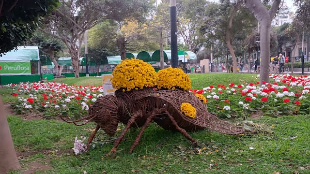 Miraflores: Feria Internacional de las Flores hasta el 1 de octubre en el parque Kennedy