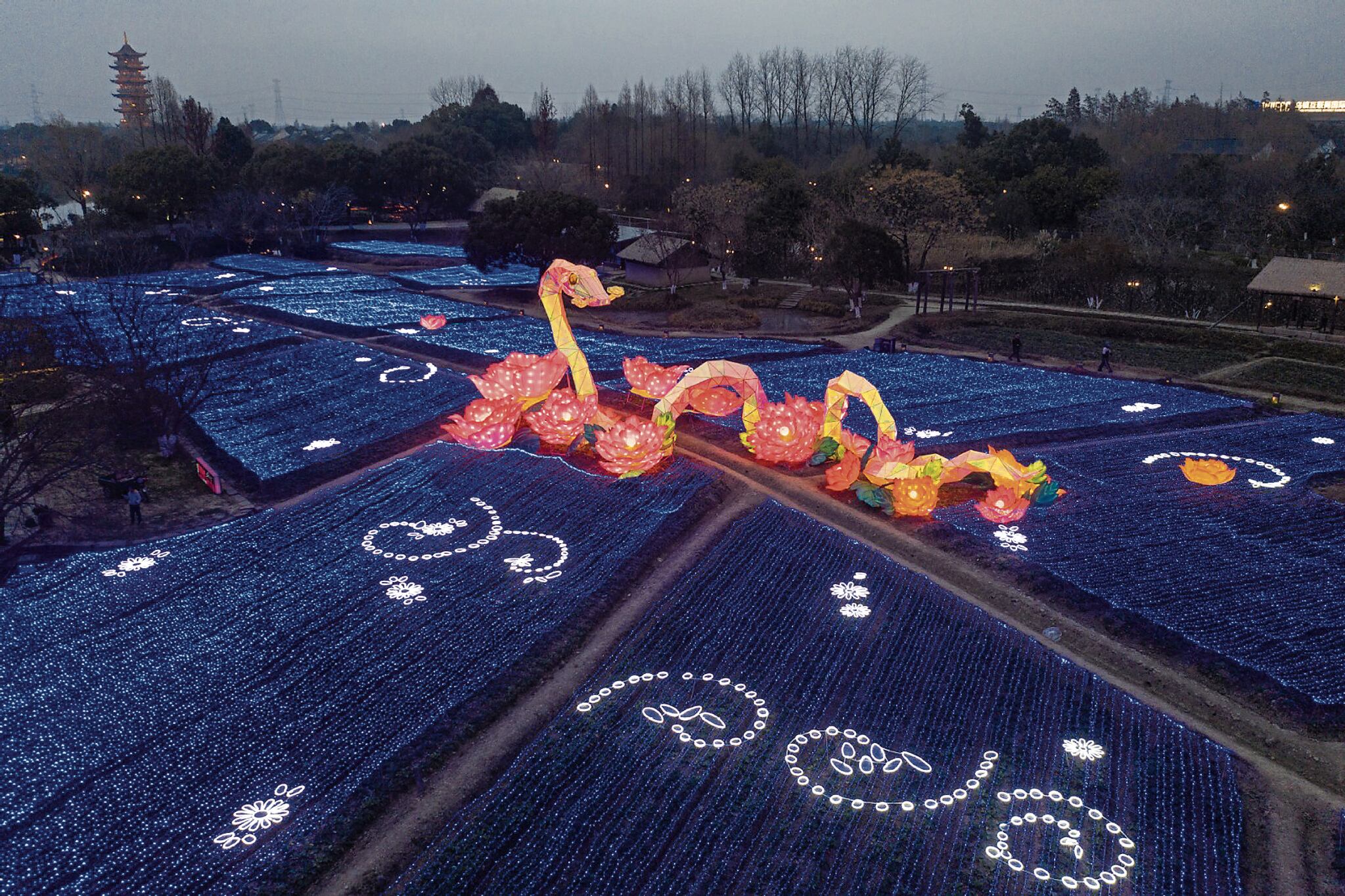 Estamos en el Año de la enigmática Serpiente de Madera.