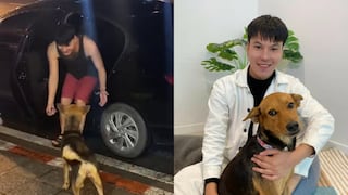 Joven se emborracha y vuelva a casa llevando un perro callejero que termina adoptando