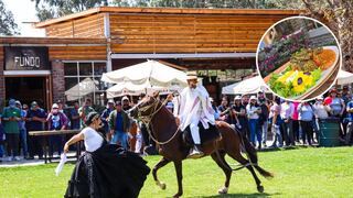 Fundo Restaurante en Ica: comida regional, caballos, juegos, shows y mucho más para disfrutar