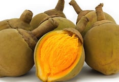 Comer para vivir: Zapote, una fruta dulce y nutritiva