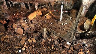 Encuentran restos de uno de los últimos leones de cavernas de Eurasia 