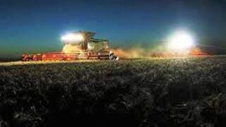 Cosechan trigo en las noches para salvar cultivos debido a la ola de calor