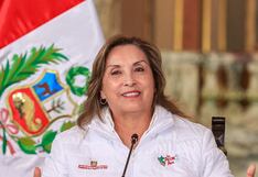 Tribunal Constitucional blinda a Dina: suspende investigaciones en su contra