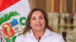 Tribunal Constitucional blinda a Dina: suspende investigaciones en su contra