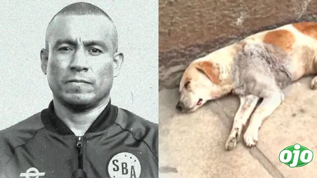 Policía habría abandonado a perro que recibió dos disparos tras intentar detener al asesino de Henry Colán, según su dueña