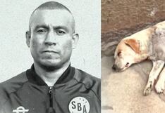 Policía habría abandonado a perro que recibió dos disparos tras intentar detener al asesino de Henry Colán, según su dueña