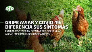 Gripe aviar en Perú: estas son las diferencias entre sus síntomas y los del COVID-19